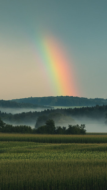 Grassland sky rainbow, , JPG HD phone wallpaper