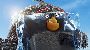 Grey The Angry Birds Movie 2 2019, the-angry-birds-2, the-angry-birds-movie-2, angry-birds, movies, 2019-movies, poster HD wallpaper