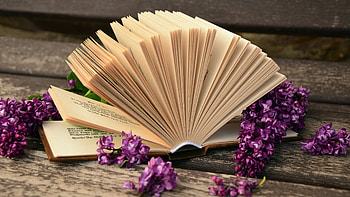 Mysterious stories, Enchanted tales, Bookstore treasures, Literary magic HD wallpaper