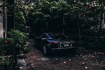 A sleek black Audi sportscar parked on a brick driveway surrounded by lush trees on a sunny day. HD wallpaper