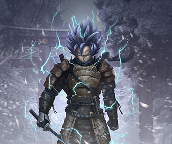 Samurai, Goku, art HD wallpaper