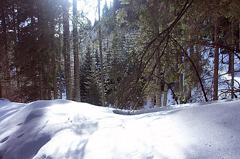 Winter, Nature, Trees, Mountains, Snow, Drifts, Romania HD wallpaper