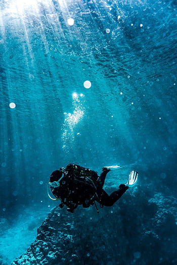 Scuba diver exploring underwater reef in vibrant turquoise waters, capturing marine life beauty. HD phone wallpaper