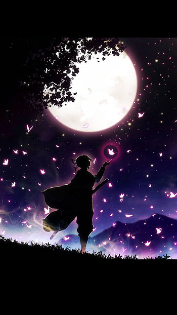 Shinobu, Anime, Ciel, Girl HD phone wallpaper