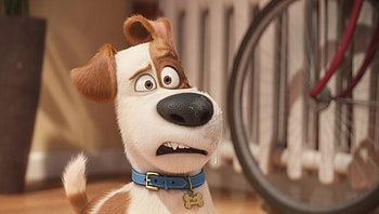 The Secret Life of Pets (2022) movie HD wallpaper