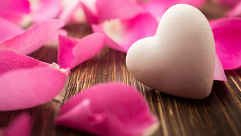 Cute Hearts HD wallpaper