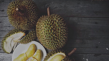 Impressive durian , Stunning backgrounds, Visual feast, Fruit showcase HD wallpaper
