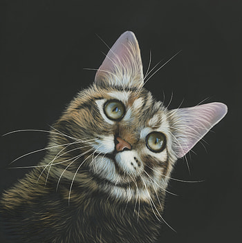 Cat Painting , cat, painting, animals HD phone wallpaper