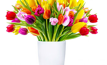 * Colorful *, colorful, bouquet, colors, flowers, tulips HD wallpaper