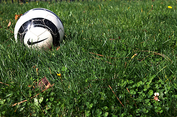 Sports, Grass, Football, Nike, Soccer Ball HD wallpaper