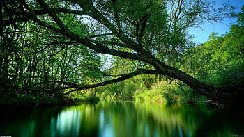 Lakes - Nature For Computer for 16:9 High Definition 900p HD wallpaper