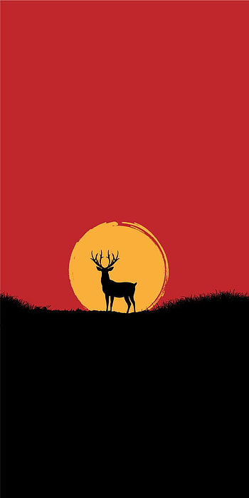 Sunset, deer, orange HD phone wallpaper