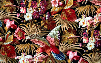 Tropical Collage 2, art, tropical, floral, illustration, artwork, wide screen, painting, flowers, parrot HD wallpaper
