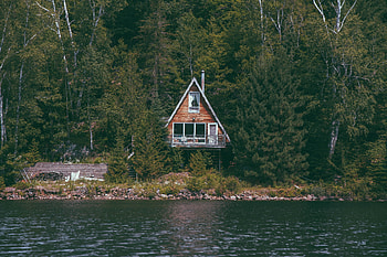 Cozy Cottage by the Coast in Serenity Forest Nature, cottage, coast, forest, house, nature HD wallpaper
