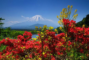 Snowy mountain, snowy, peaks, beautiful, nice, mountain, lake, nature, flowers, sky, lovely HD wallpaper