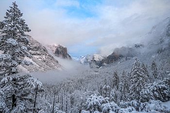 Fresh snow at Yosemite N.P., California, forest, mountains, usa, snow HD wallpaper