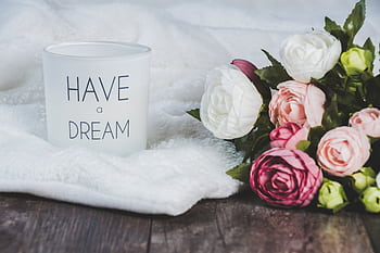 Soft focus of a candle with 'Have a Dream' text beside a bouquet of roses on a blanket. HD wallpaper