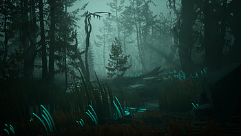Pacific Drive Game Mystical Forest, video game, Pacific Drive HD wallpaper