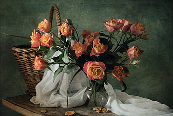 Simply beautiful, roses, soft, arrangement, basket, still life, delicate, flowers, lovely, harmony HD wallpaper