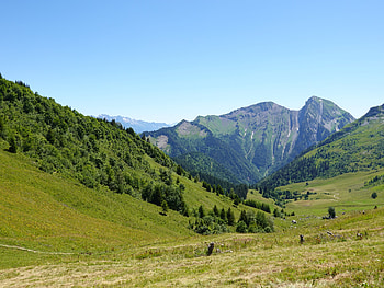 Nature, Trees, Grass, Mountains, Greens, Valley HD wallpaper