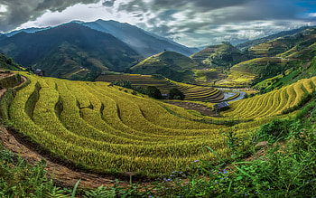 Bali rice fields, Mountain backdrop, High-quality , Asian beauty HD wallpaper