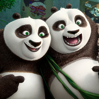 Preview kung fu panda 3, panda, emotions HD phone wallpaper