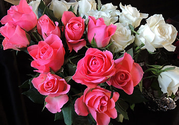 *** Roses ***, nature, flowers, roses, flower HD wallpaper