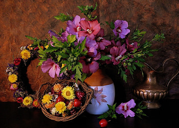 *** Still life ***, nature, flowers, life, still HD wallpaper
