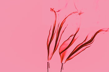 Vibrant red smoke swirls elegantly against a soft pink background, creating artistic abstract shapes. HD wallpaper