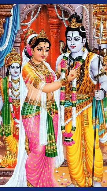Sivan , Lord Shiva, Goddess Parvati, Marriage Background HD phone wallpaper