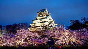 Osaka Castle, Travels, Autumnal beauty, Microsoft HD wallpaper