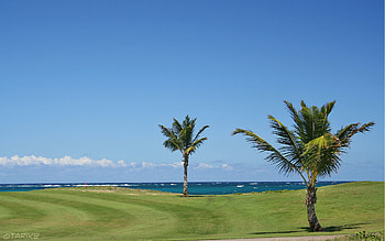 ... Golf and Screensavers - afari ... HD wallpaper