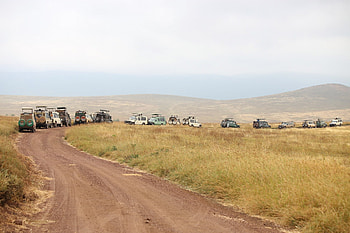 Ngorongoro Crater, Wildlife sanctuary, Tanzania, Natural wonder HD wallpaper
