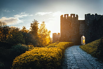 Charming view of a medieval castle with a garden pathway at sunrise, capturing a serene moment in history. HD wallpaper