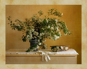 Tasteful, glove, table, petals, vase, beautiful, flowers, lace HD wallpaper