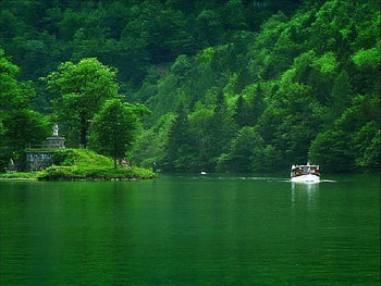 In my dreams I see green, see, green, dream HD wallpaper