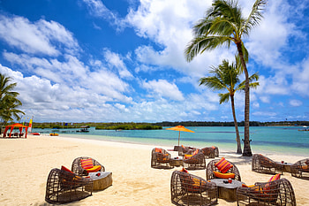 Island, sea, palm, trees, nature, resort HD wallpaper