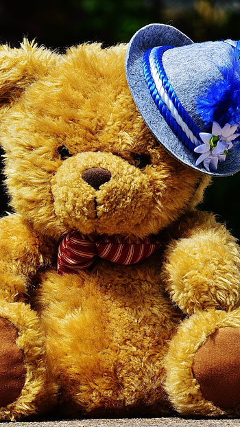Teddy Bear Wale, Cute, Teddy, Cap HD phone wallpaper