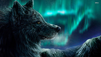 wolf art high quality, 1920 x 1080 (273 kB) HD wallpaper