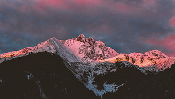 Pink sunrise casting a soft glow over snow-covered mountains in winter. HD wallpaper