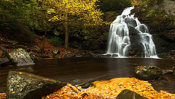 Spruce Flats Falls, Smoky Mountains, Tennessee, trees, cascades, river, rocks, usa HD wallpaper