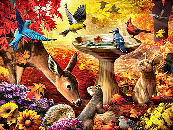 Autumn Birdbath F, animal, birds, birdbath, blue jay, avian, woodpecker, painting, goldfinch, cardinal, rabbit, chickadee, art, beautiful, artwork, wide screen, wildlife, bluebird, deer, flowers, squirrel HD wallpaper