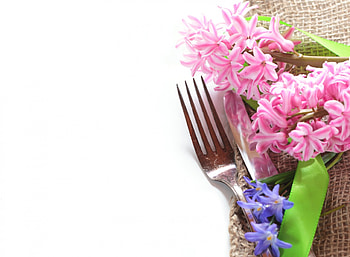 Pretty Flowers, pink flowers, nature, flowers, with love HD wallpaper