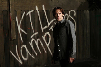 Bill, vampires, kill, paint, true blood HD wallpaper