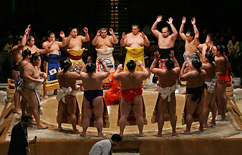 Sumo, Battle of giants, Traditional spectacle, Raw power HD wallpaper
