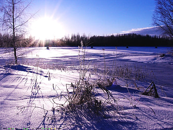 winter sunrise, winter, , nature, morning HD wallpaper