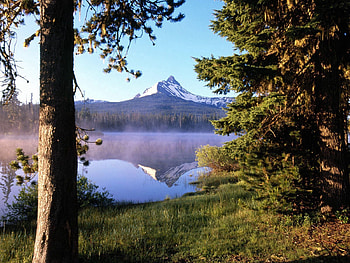 Nature, Mountain, Lake, Reflection, Wood, Forest, Tree, Fog, Trunk, Evaporation HD wallpaper