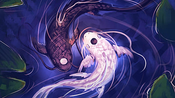 Tui and La, Avatar: The Last Airbender HD wallpaper