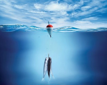 FISHING, hook, fish HD wallpaper