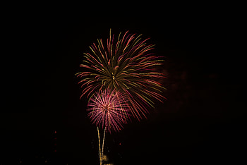 Salute, Dark, Sparks, Beams, Rays, Firework, Fireworks, Celebration HD wallpaper